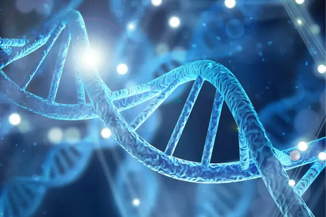 DNA helices