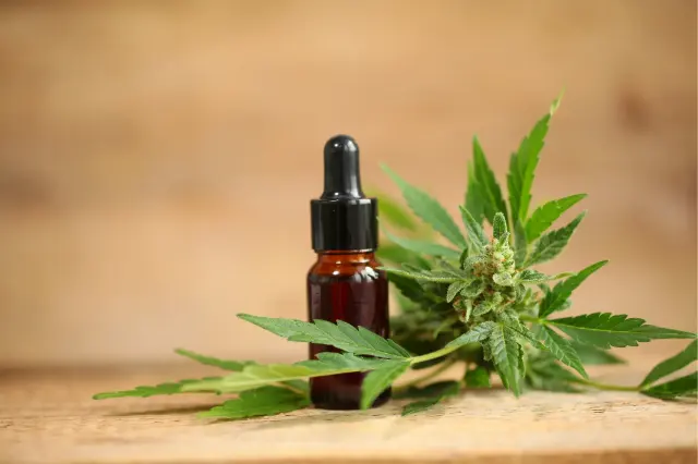 Flacon compte-gouttes et fleur de cannabis