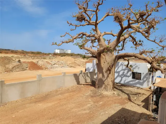 Site d’un projet au Sénégal