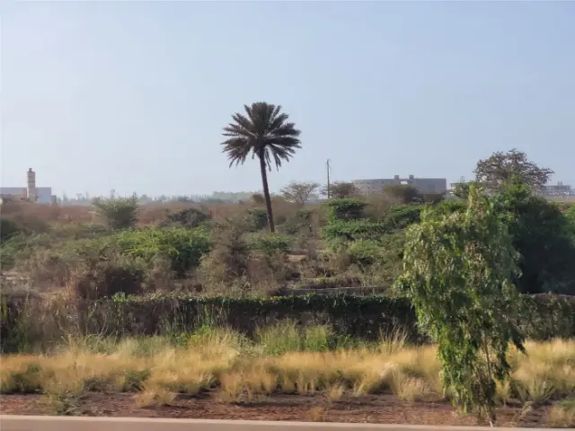 A landscape in Senegal, where our experts have worked