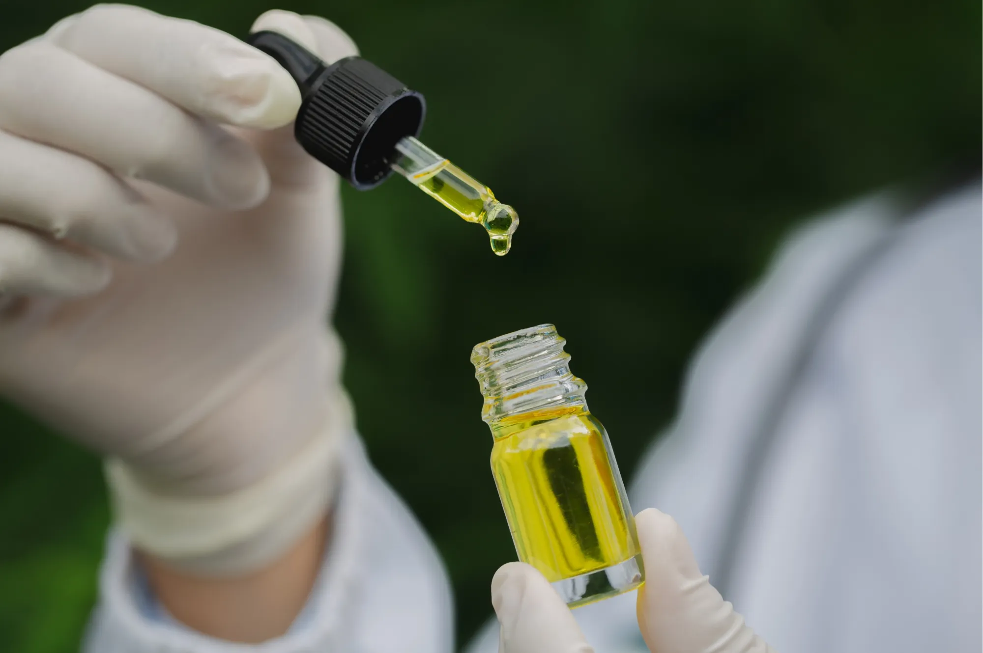 Huile de cannabis médical prélevée au compte-gouttes